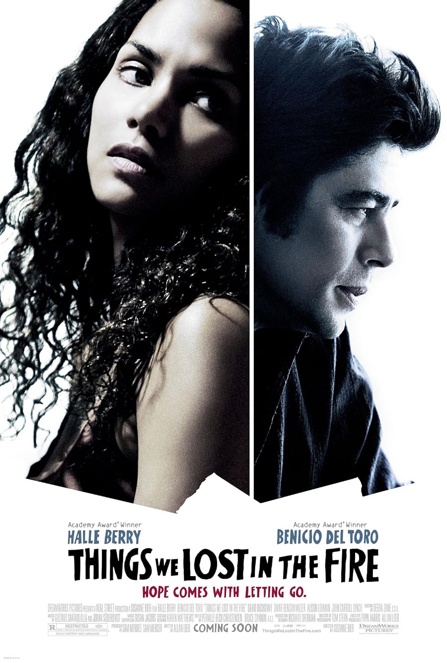 دانلود فیلم Things We Lost in the Fire 2007