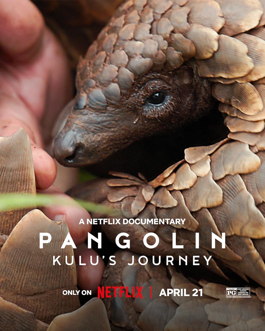 دانلود فیلم Pangolin: Kulu’s Journey 2025 با دوبله اختصاصی دانلود فیلم Pangolin: Kulu’s Journey 2025 با دوبله اختصاصی