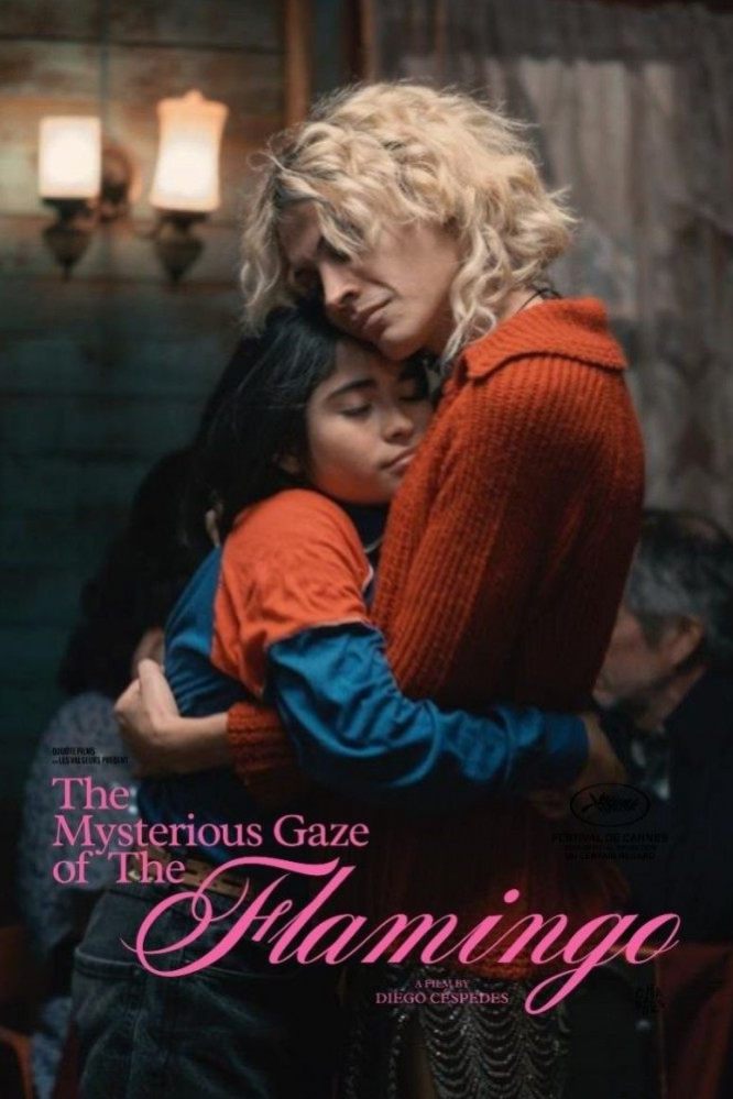 دانلود فیلم The Mysterious Gaze of the Flamingo 2025 با زیرنویس چسبیده دانلود فیلم The Mysterious Gaze of the Flamingo 2025 با زیرنویس چسبیده